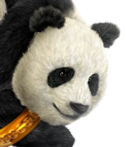 PANDA